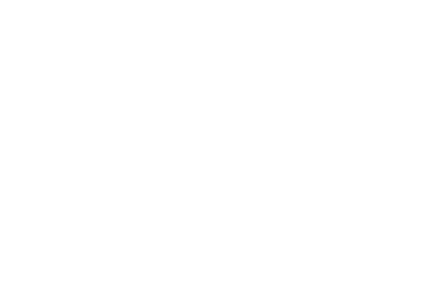 layer_5_Vector